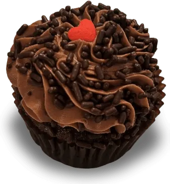 Chocolate cupcakes seen from above